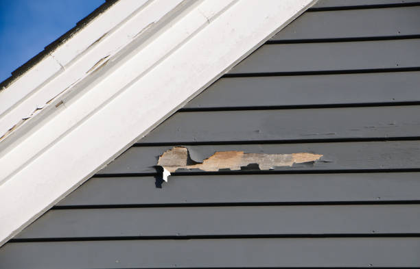 Best Hoarding Cleanup  in Kahaluu, HI